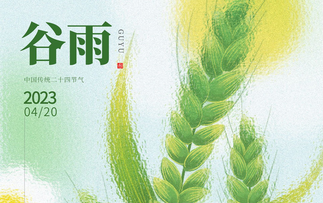 Grain Rain